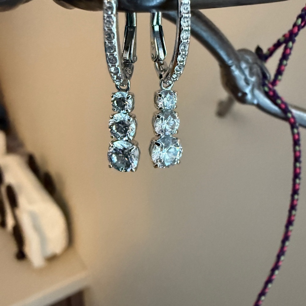 Elegant Silver Drop Earrings